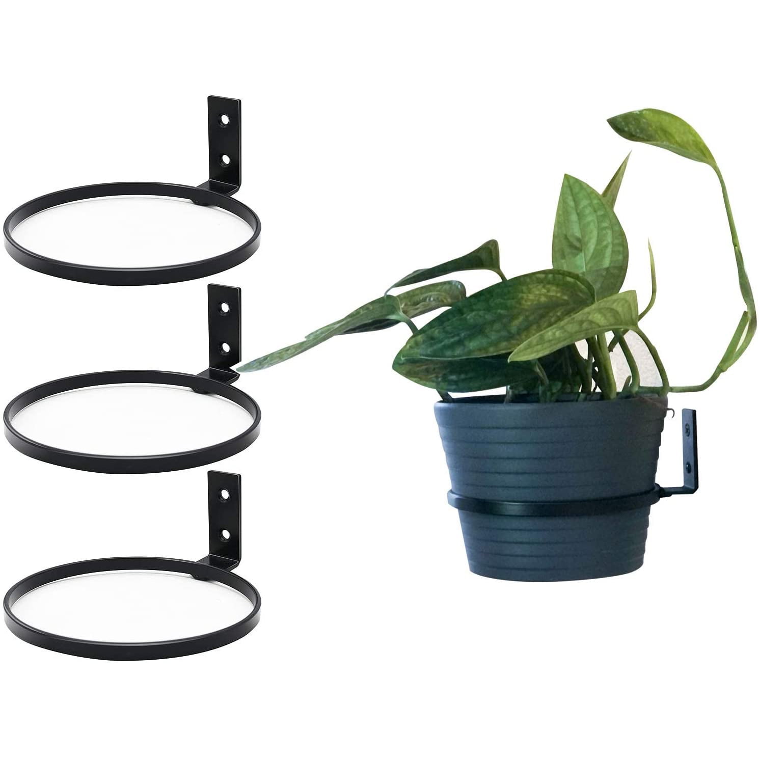 Casewin 8 inch Flower Pot Holder Ring Wall Mounted Set of 3 Heavy Duty Metal Wall Plant Holder Plant Hanging Bracket Hanger for Outdoor Indoor b1202b43 ba5f 46c3 950f b38ecf120366.dd6c8df91b91ff09e76adf097e573cf2
