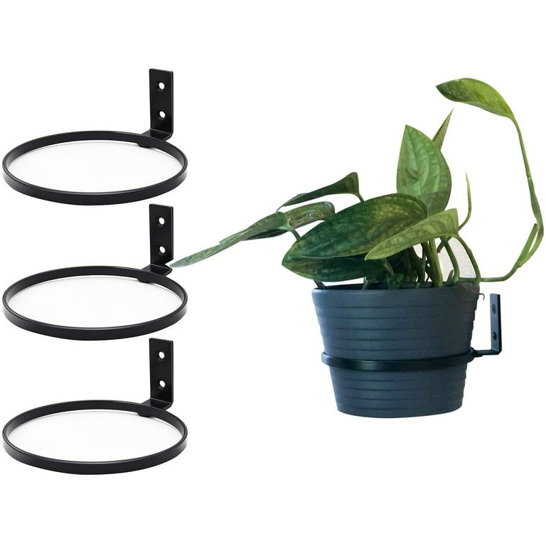 Casewin Plant Holder Ring 5 Inch Wall Mounted, 3 Pack Flower Pot Hangers  Metal Plant Stand Hanging Bracket Basket Hooks 
