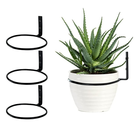 Casewin Flower Plant Holder Ring Wall Mounted 4 Inch Plant Wall Hanger Rings Metal Plant Holder Wall Planter Hook, (3 Pack) for Herb, Plant