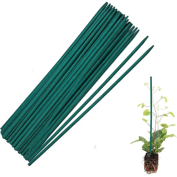 Casewin Green Bamboo Plant Stakes, Plant Sticks Support for Indoor and Outdoor Plants, Garden Wood Sturdy Bamboo Sticks, Floral Plant Support Stakes for Garden Plants 50 Pack15.7 Inches