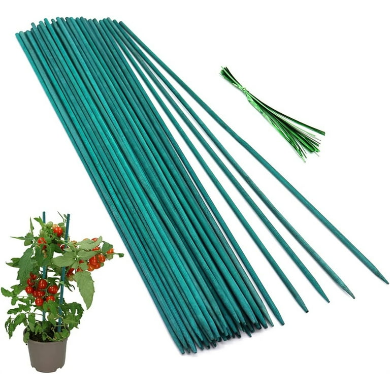 Casewin Green Wood Plant Stake Floral Sticks Support Garden Plant Sticks  Wooden Bamboo Stake Natural Craft Picks (50 Pieces, 40 cm)