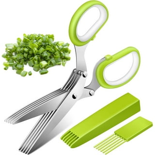 NOGIS Herb Scissors Set - Herb Scissors with 5 Blades and Cover, Herb  shears with 3 Blades, Shred Silk Knife, Cool Kitchen Gadgets for Cutting  Fresh