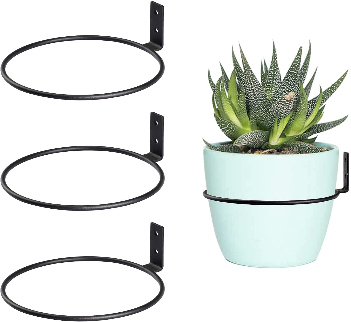 Casewin Plant Holder Ring 5 Inch Wall Mounted, 3 Pack Flower Pot Hangers  Metal Plant Stand Hanging Bracket Basket Hooks 