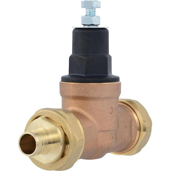 Cash Acme PVA16P-DUCR-60 0.75 in. 60PSI & 45PSI Double Union Barb Crimp Pressure Regulating Valve