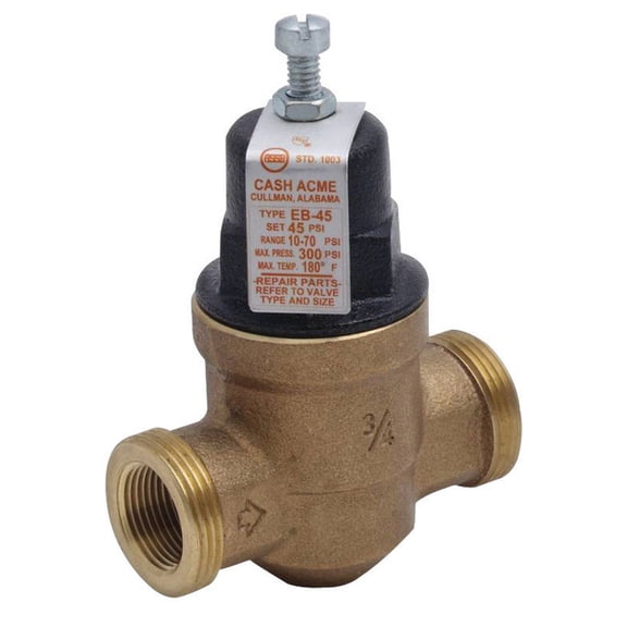 Cash Acme 1 in. Bronze Valve
