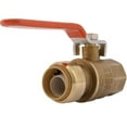 thumbnail image 1 of Cash Acme - Sharkbite UR22186 0.75 in. SB x 0.75 FNPT Ball Valve Bulk, 1 of 3