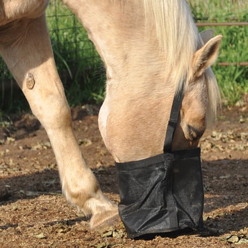 Cashel Feed Rite Bag Black Draft
