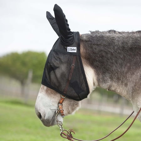 Cashel Quiet Ride Mule Fly Mask Standard With Ears Horse Size Black