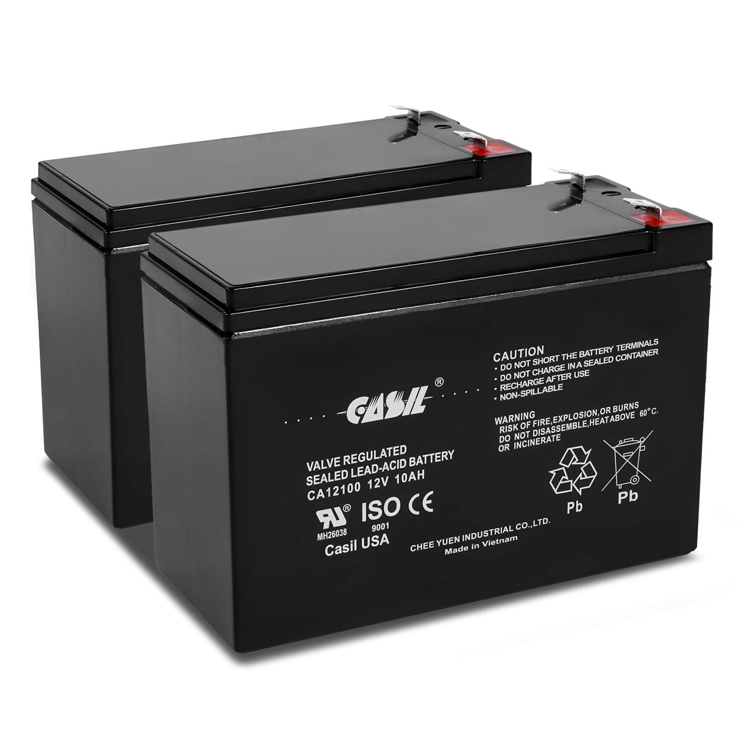 Casil 12V 10Ah Replacement Battery Compatible with Long WP10-12SE 2 Pack