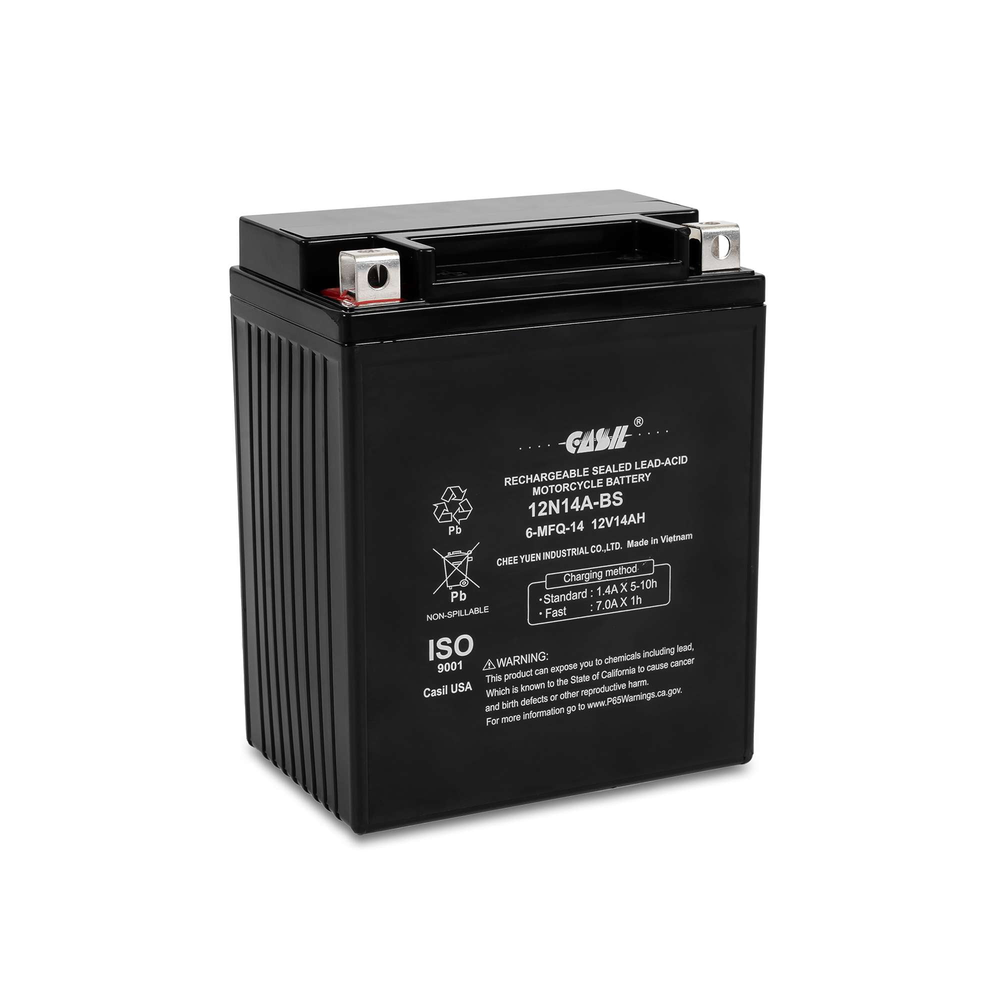 Casil YTX14AHL-BS Maintenance Free Replacement Battery for ATV, Motorcycle, Personal Watercraft, Scooter, and Snowmobile - 12 VOLT 14 Amp