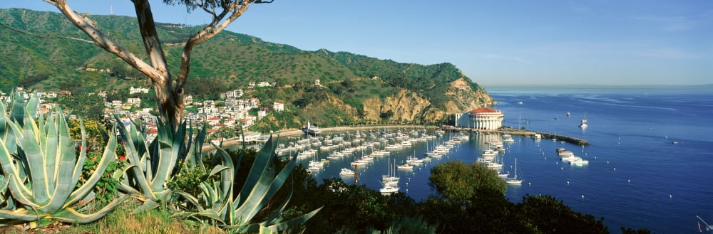 Casino building and Avalon Harbor Avalon Catalina Island California Canvas Art - Panoramic Images (36 x 12)