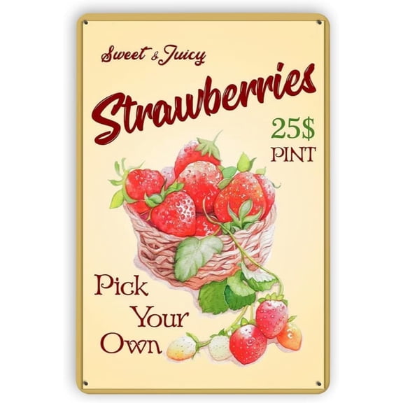 & Initial Q Letter Monogram Floral Alphabet Metal Tin Sign Xmas Candy Christmas Vintage Porch Signs And Decor Outdoor for Home Coffee Wall Gift Women Men 8x12 Inch