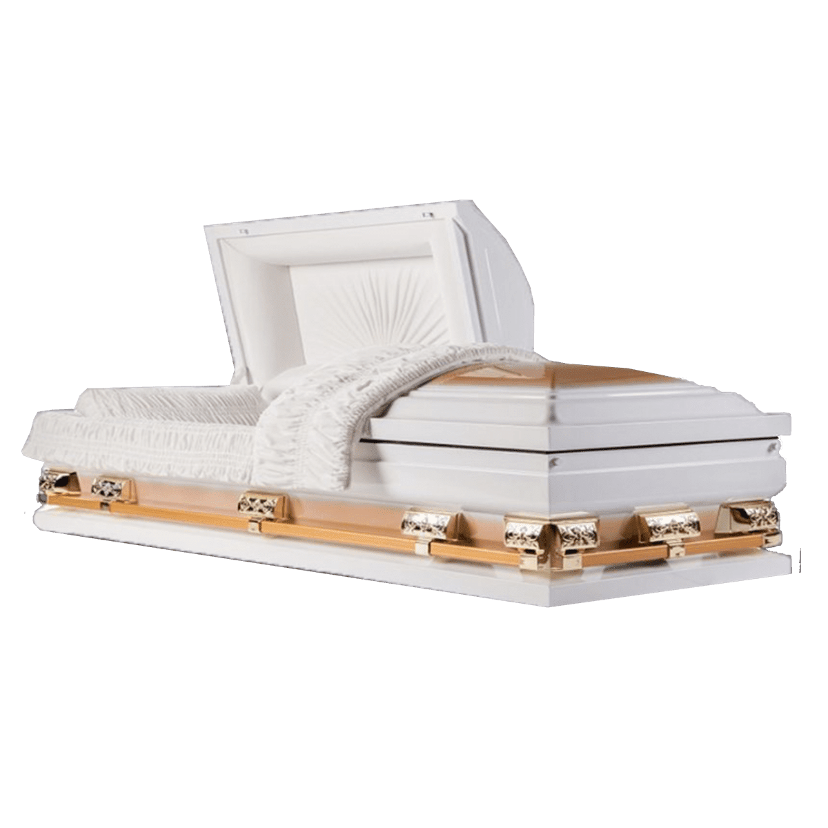 Casket Emporium Athena Titan White/Gold, Oversized various sizes 18 guage  non-sealed steel, half-Couch Casket
