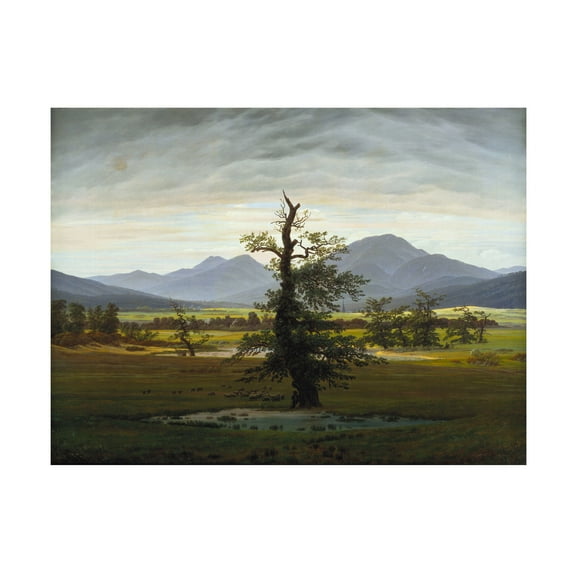 Trademark Fine Art Caspar David Friedrich Solitary Tree Canvas Wall Art - 24x32