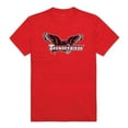 thumbnail image 1 of Casper College Thunderbirds the Freshmen T-Shirt, Red - Large, 1 of 1