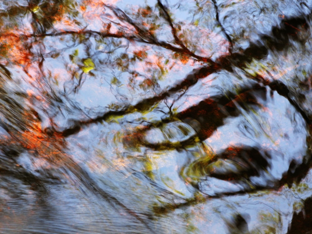 Casper Massachusetts Seekonk Caratunk Wildlife Refuge Ripples And Reflections On Water Surface Canvas Art - Joanne Baldaia Design Pics (32 x 24)