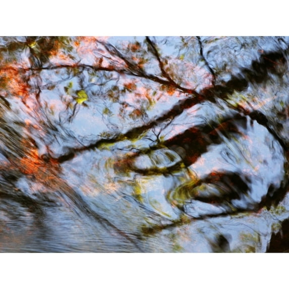 Casper Massachusetts Seekonk Caratunk Wildlife Refuge Ripples And Reflections On Water Surface. Print