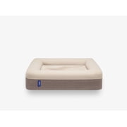 Casper Sleep Medium Memory Foam Dog Bed with Removable Cover, Sand