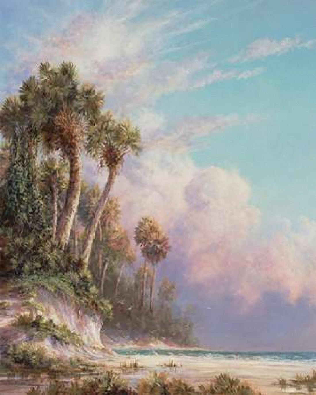Casperson Bluff Canvas Art - Art Fronckowiak (24 x 30)
