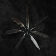 thumbnail image 1 of Caspian - Dust and Disquiet - Rock - Vinyl, 1 of 1