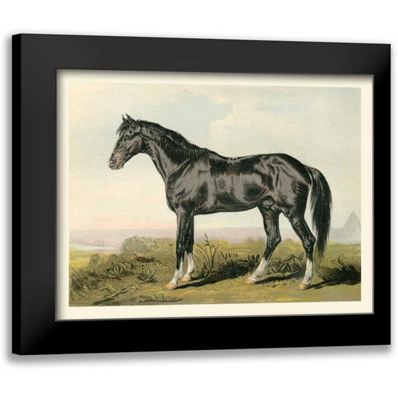 Cassel 18x15 Black Modern Framed Museum Art Print Titled - Cassells Horse II