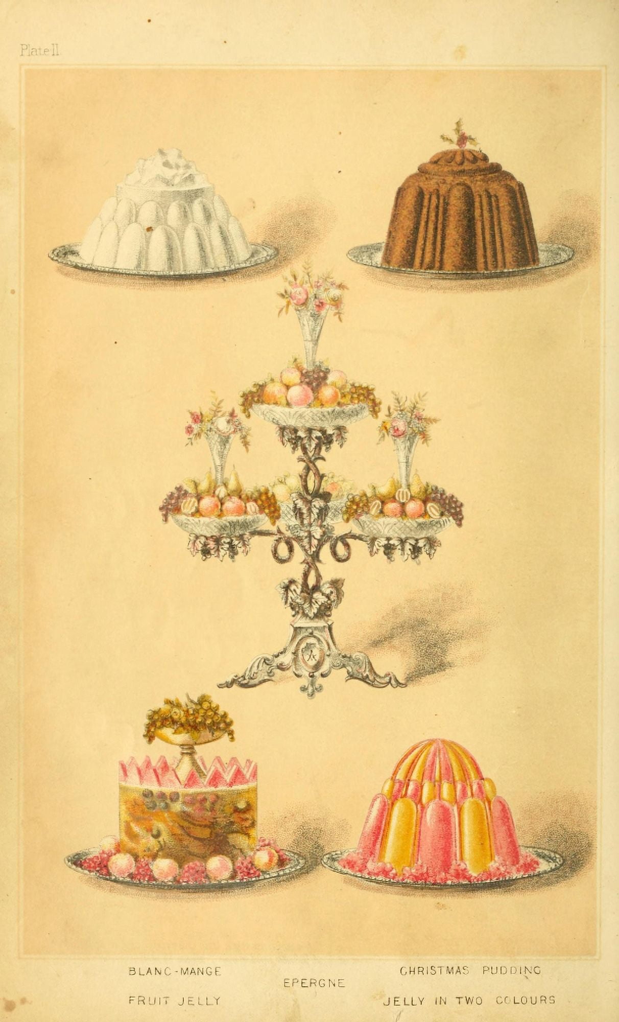 Cassells Dictionary of Cookery 1892 Blancmange Christmas Pudding & Jelly Canvas Art - (24 x 36)