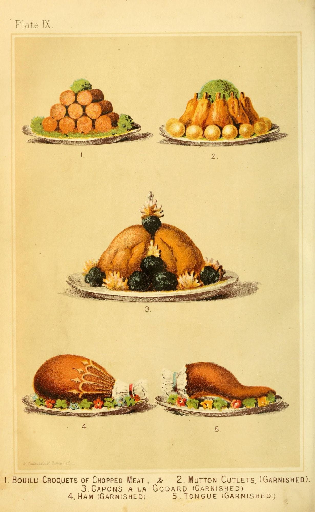 Cassells Dictionary of Cookery 1892 Croquettes Cutlets Capons Canvas Art - (24 x 36)