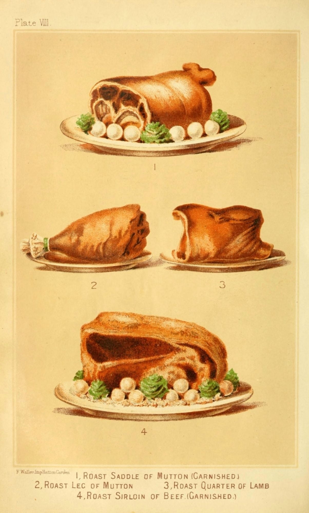 Cassells Dictionary of Cookery 1892 Mutton Lamb & Beef Canvas Art - (24 x 36)