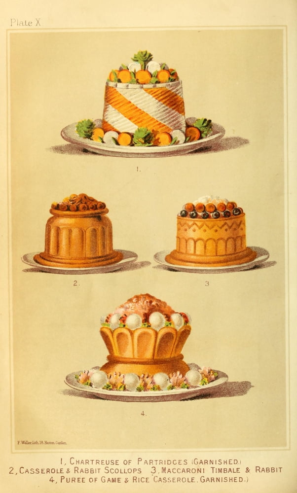 Cassells Dictionary of Cookery 1892 Partridge Rabbit etc Canvas Art - (18 x 24)