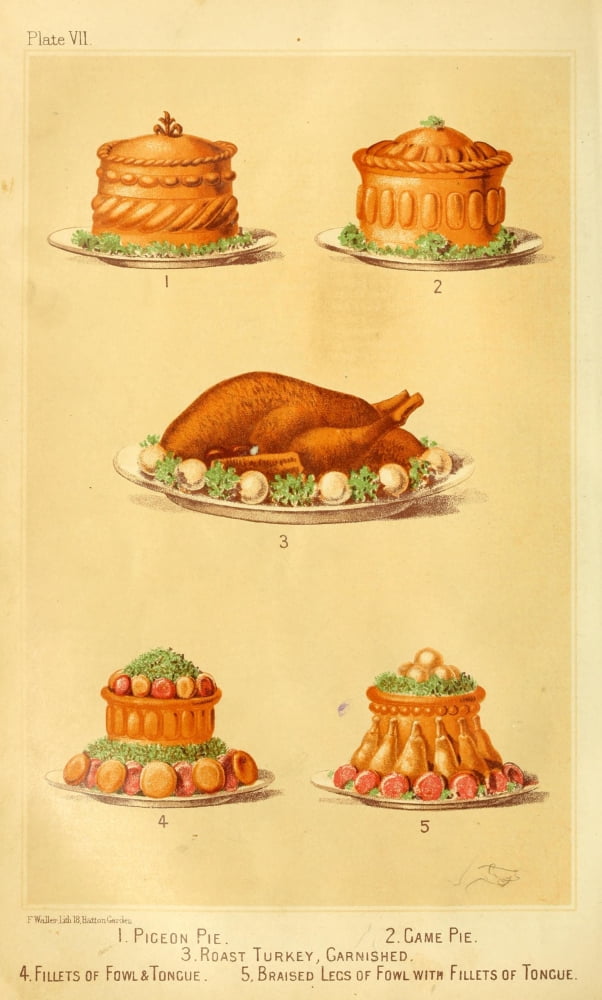 Cassells Dictionary of Cookery 1892 Pigeon & Game Pies and Turkey Canvas Art - (24 x 36)