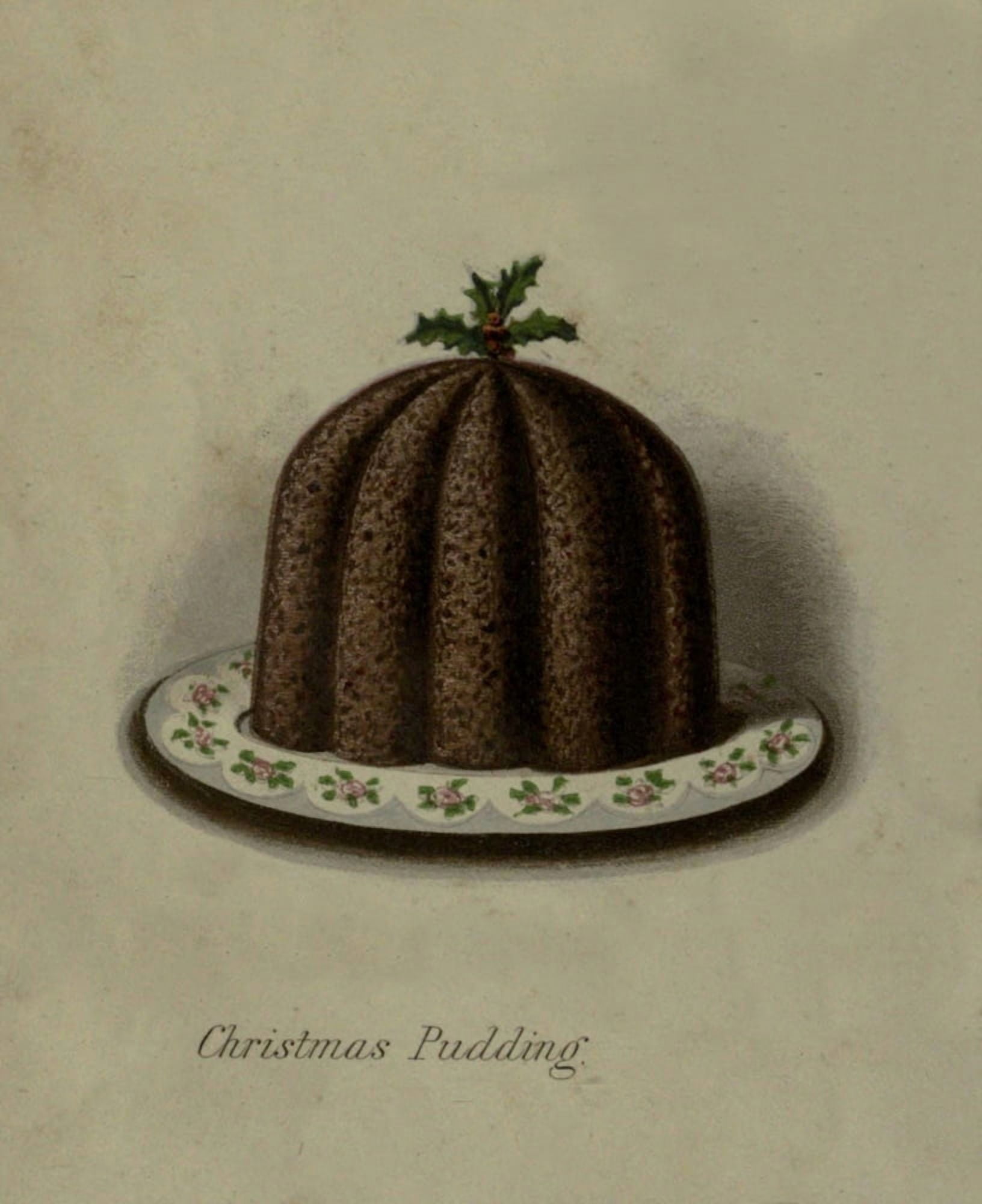Cassells Household Guide 1869 Christmas Pudding Canvas Art - Unknown (24 x 36)