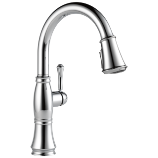 Single Handle Pull-Down Kitchen Faucet in Arctic Stainless 978-AR-DST