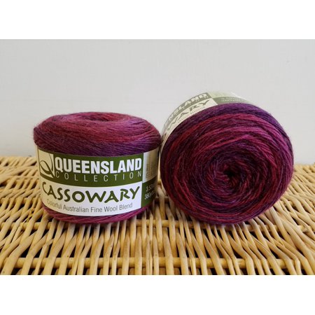 Cassowary by Queensland Collection