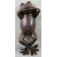 thumbnail image 1 of Cast Iron Relaxing Lazy Frog ~ Lawn Statue ~ Yard Decor Swimming Toad, 1 of 1