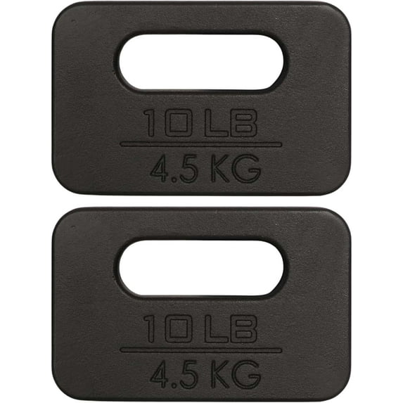 Cast Iron Ruck Weight, Weighted Plate for Rucking, Swings, Squat, Strength Training - Multiple Weights: 10LB to 45LB