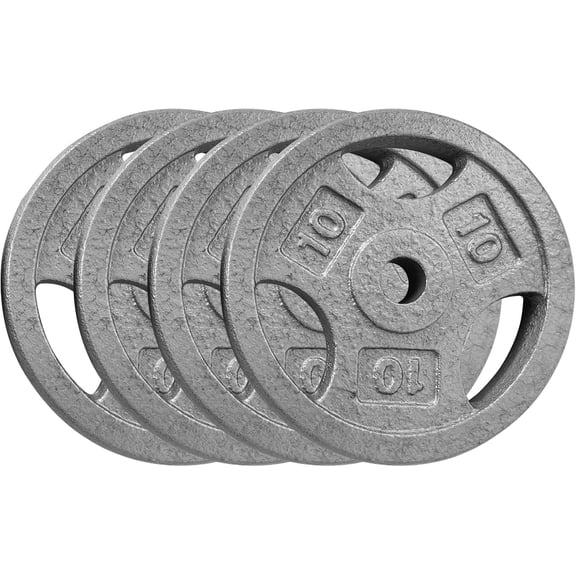Cast Iron Weight Plates Set 1 in, 2.5 LBS/5 LBS/10 LBS/25 LBS Bumper Plates for Home Gym, Strength Training & Weightlifting (4 x 10 LBS Sets)