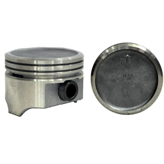 Cast Pistons (Set of 8) & Premium Rings | for 76-87 GM/Chevrolet 5.0L 305 OHV V8 16V Engines | Car/Truck/SUV/Van/Marine | Contains (8) Pistons (Size STD) with Premium Rings