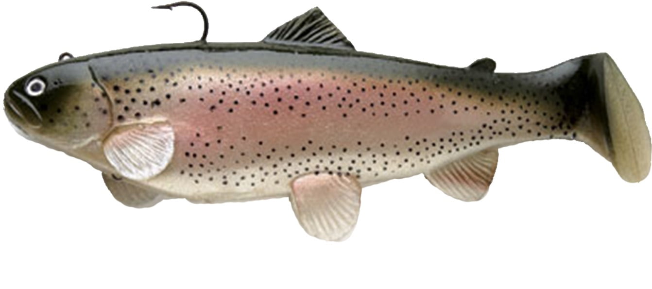 キャスティークトラウトリップレス　rare castaic trout キャスティークトラウトリップレス rare castaic trout TROUT ZX