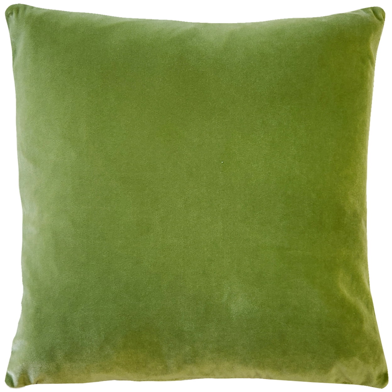 Summer Green Velvet Reversible Throw Pillow 17" x 17"