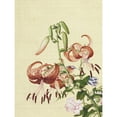 thumbnail image 1 of Castiglione Lilies Flower Plant Painting Extra Large Art Print Wall Mural Poster Premium XL, 1 of 3
