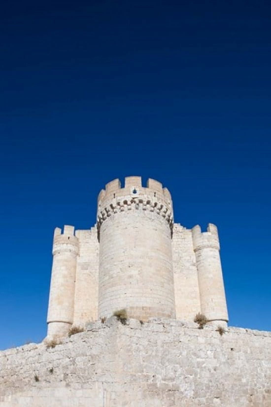 Castillo Penafiel Penafiel Valladolid Province Spain Canvas Art - Walter Bibikow DanitaDelimont (18 x 24)