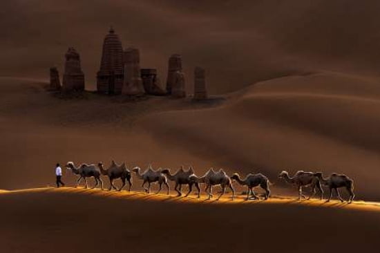 Castle And Camels Canvas Art - Mei Xu (24 x 36)