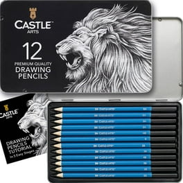 Castle Art Supplies 60 Piece Drawing & Sketching Set | Quality Graphite, Charcoal, Pastel, Water Soluble Pencils + Sticks, Fineliners | for