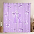thumbnail image 1 of Castle Fairy Adults Female Women Letter Monogrammed R Curtains Pack of 2 (42x84 Each),Dreamy Princess Bow-Tie Curtains Blackout,Cute Ribbon Bow Bedroom Curtains,Lightweight Room Decor, 1 of 6