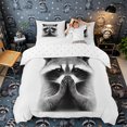 thumbnail image 1 of Castle Fairy Praying Raccoon Duvet Cover Queen for Boys,Minimalist Plain Queen Bedding,Black White Gray,Reversible,3-Piece,No Comforter,1 Duvet Cover and 2 Pillowcases, 1 of 6