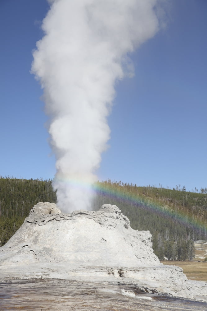 Castle Geyser eruption Upper Geyser Basin geothermal area Yellowstone National Park Wyoming Canvas Art - Richard RoscoeStocktrek Images (12 x 18)