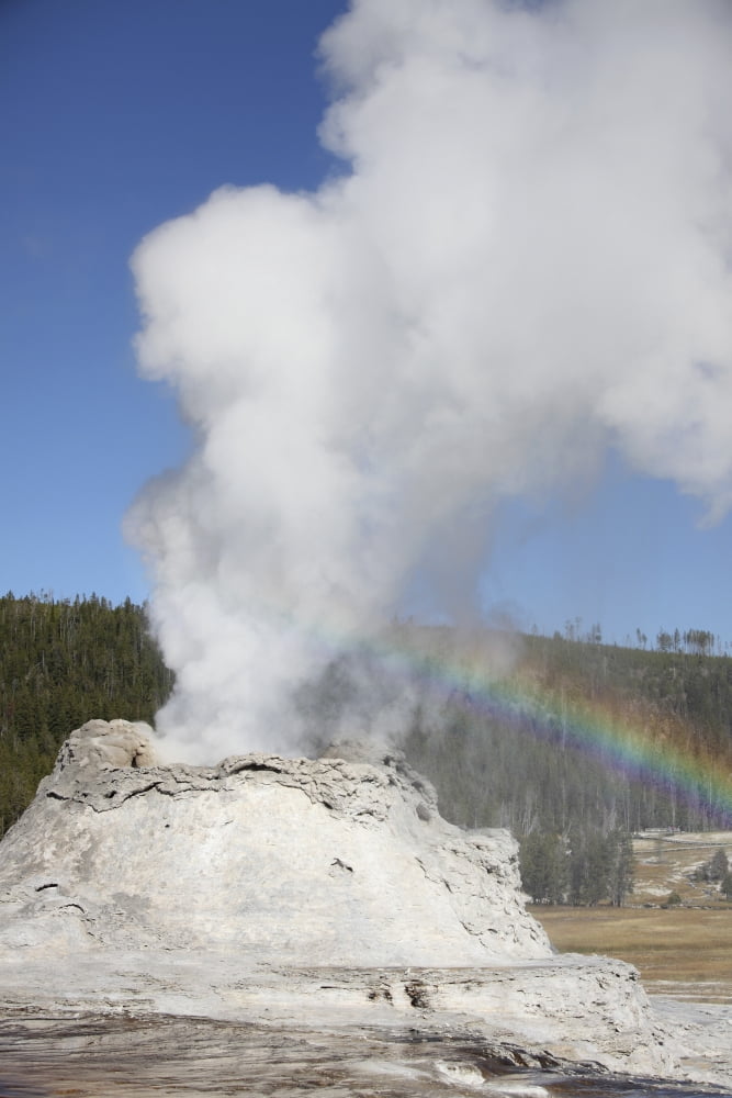 Castle Geyser eruption Upper Geyser Basin geothermal area Yellowstone National Park Wyoming Canvas Art - Richard RoscoeStocktrek Images (12 x 18)