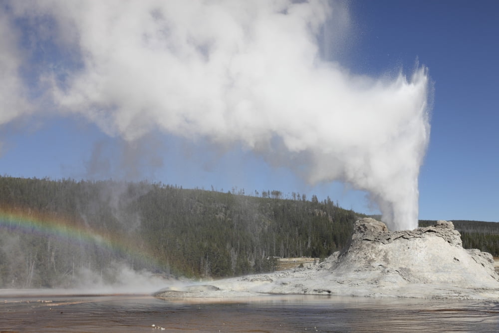 Castle Geyser eruption Upper Geyser Basin geothermal area Yellowstone National Park Wyoming Canvas Art - Richard RoscoeStocktrek Images (35 x 23)