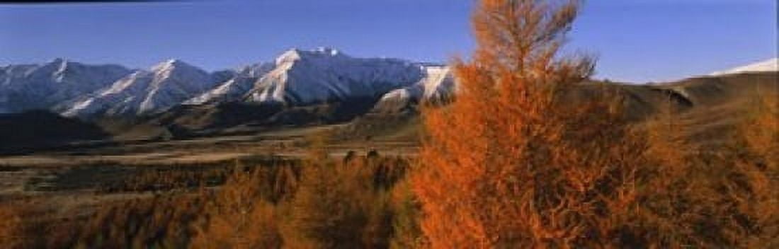 Castle Hill Basin Torlesse Mountains New Zealand Canvas Art - Panoramic Images (18 x 6)