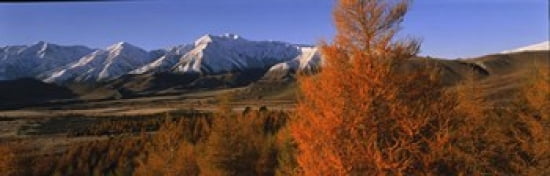Castle Hill Basin Torlesse Mountains New Zealand Canvas Art - Panoramic Images (36 x 12)